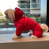 WINTER PUFFER JACKET / RED - Miso and Friends - petshop