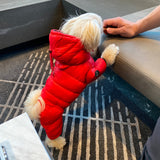 WINTER PUFFER JACKET / RED - Miso and Friends - petshop