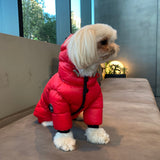 WINTER PUFFER JACKET / RED - Miso and Friends - petshop