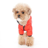 WINTER PUFFER JACKET / RED - Miso and Friends - petshop
