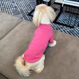 SOFT TOUCH MOCK NECK LONG SLEEVE SHIRT / MAGENTA - Miso and Friends - petshop