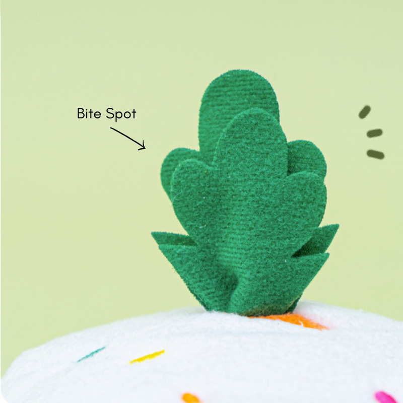 HOLIDAY GIFT - CARROT CAKE NOSEWORK TOY