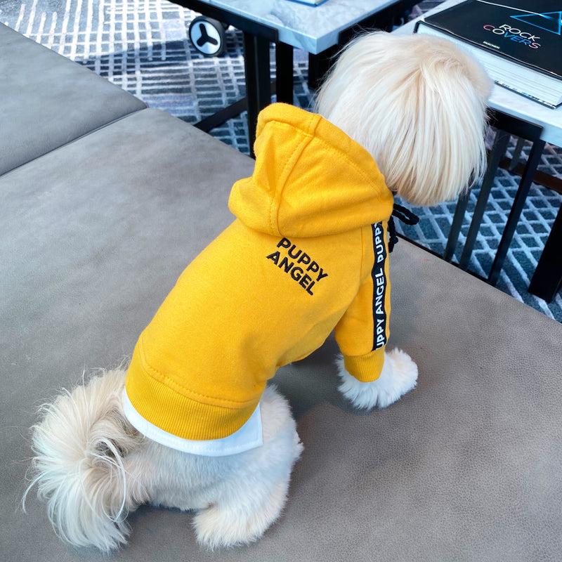 PUPPY ANGEL CITY SPORT HOODIE / YELLOW - Miso and Friends - petshop