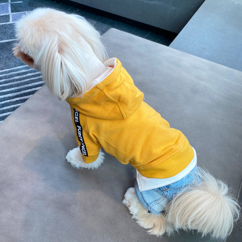 PUPPY ANGEL CITY SPORT HOODIE / YELLOW - Miso and Friends - petshop