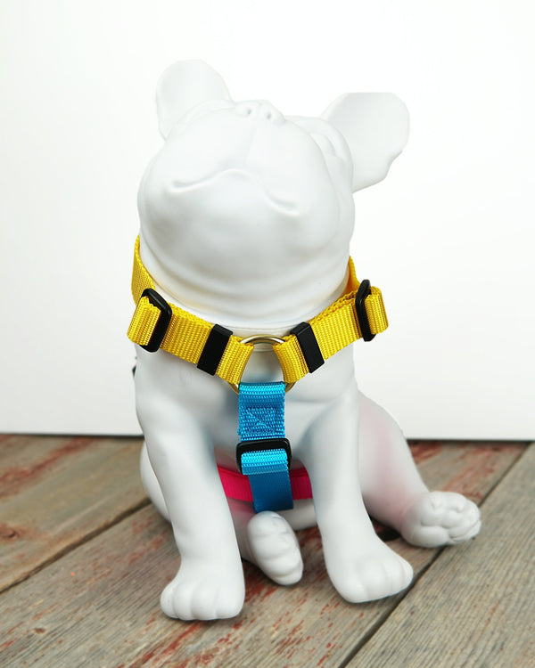 CANADA HANDCRAFTED MARTINGALE HARNESS / JUBILEE - Miso and Friends - petshop