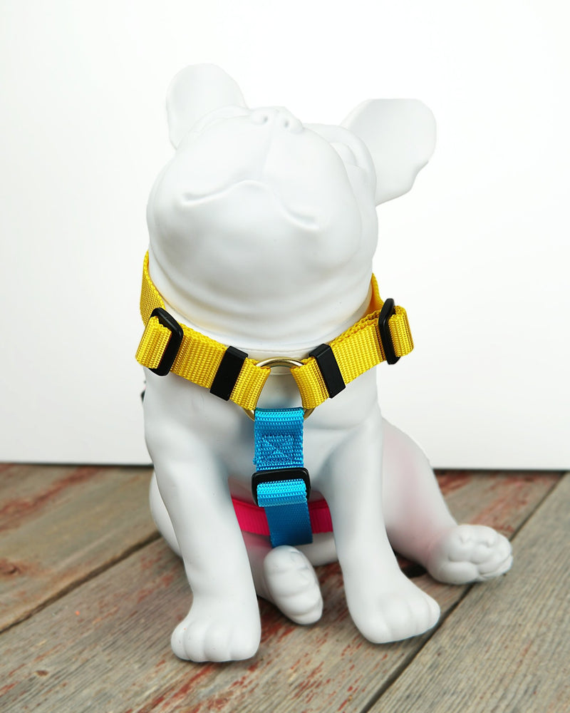 CANADA HANDCRAFTED MARTINGALE HARNESS / JUBILEE - Miso and Friends - petshop