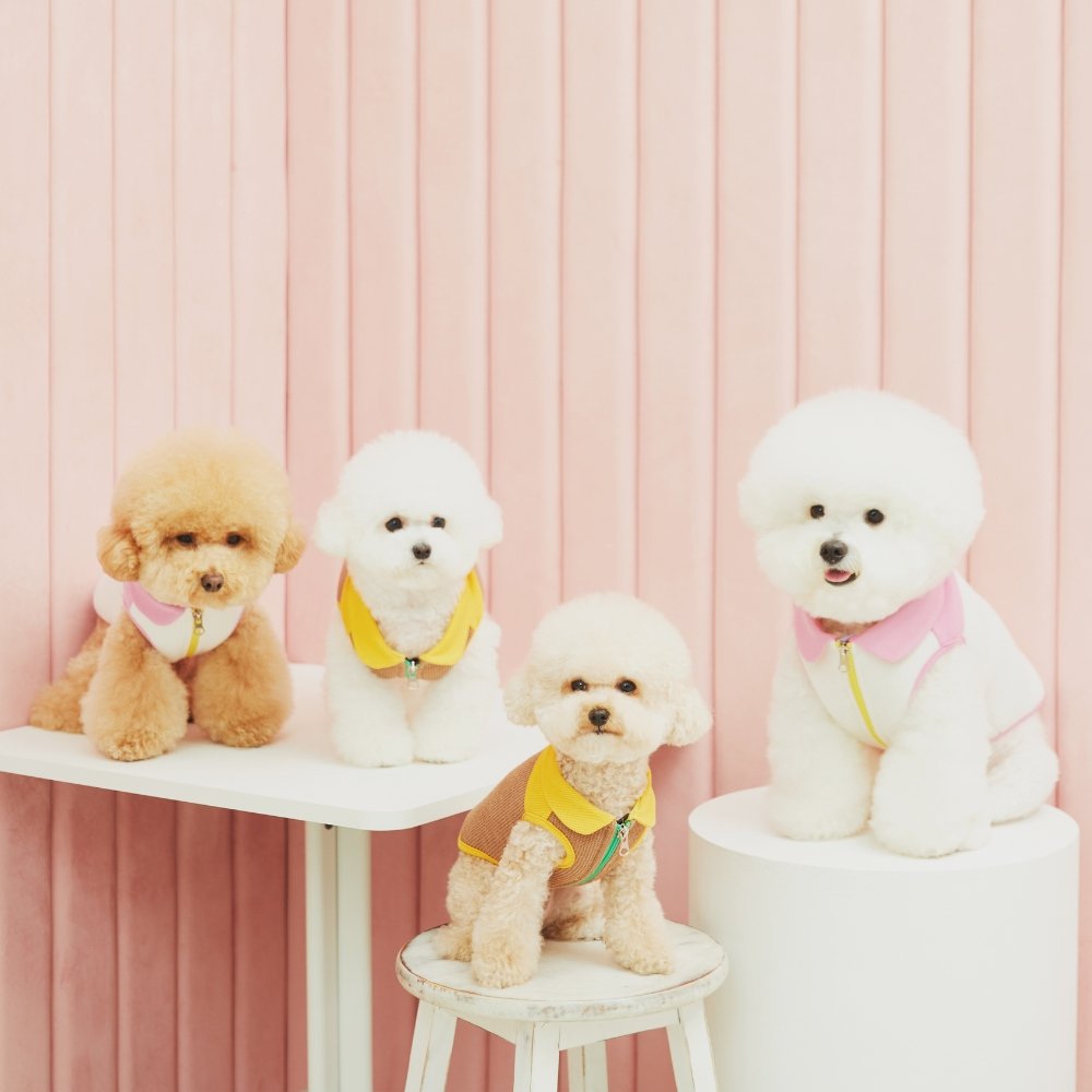 Chouchou Whitecrunchies - Etsy