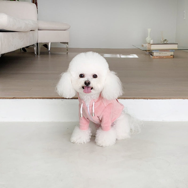 CUDDLE ME HOODIE / STRAWBERRY - Miso and Friends - petshop