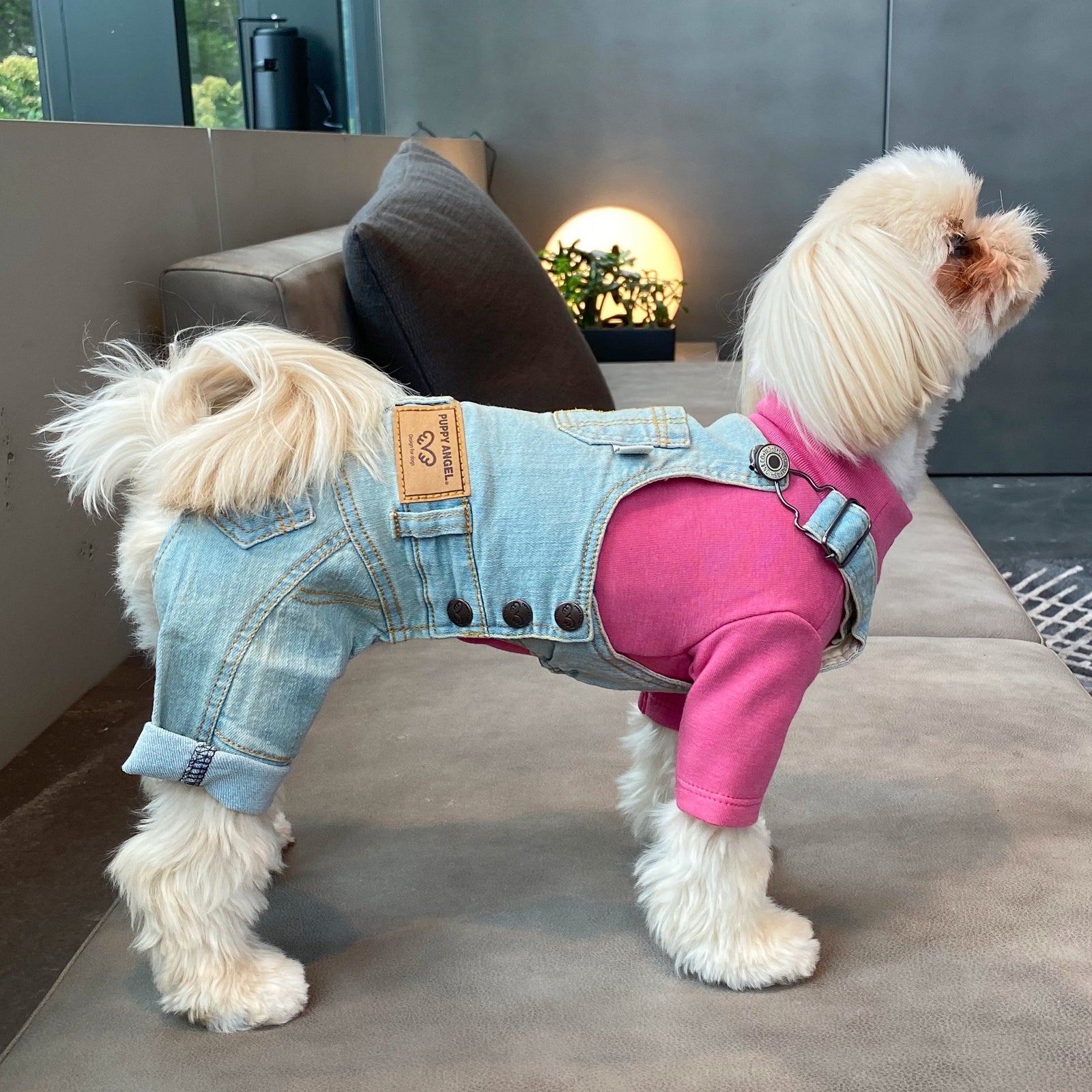 DAILY DENIM DOG OVERALLS VINTAGE LIGHT BLUE Miso and Friends