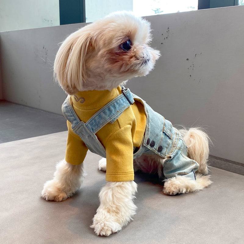 Miaododo Medium Large Dog Jeans Jumpsuit Overalls For Dogs Denim Clothes  Costumes Blue Vintage Washed Dog Pants Classic Joules Jackets 210401 From  Xue009, $20.72 | DHgate.Com