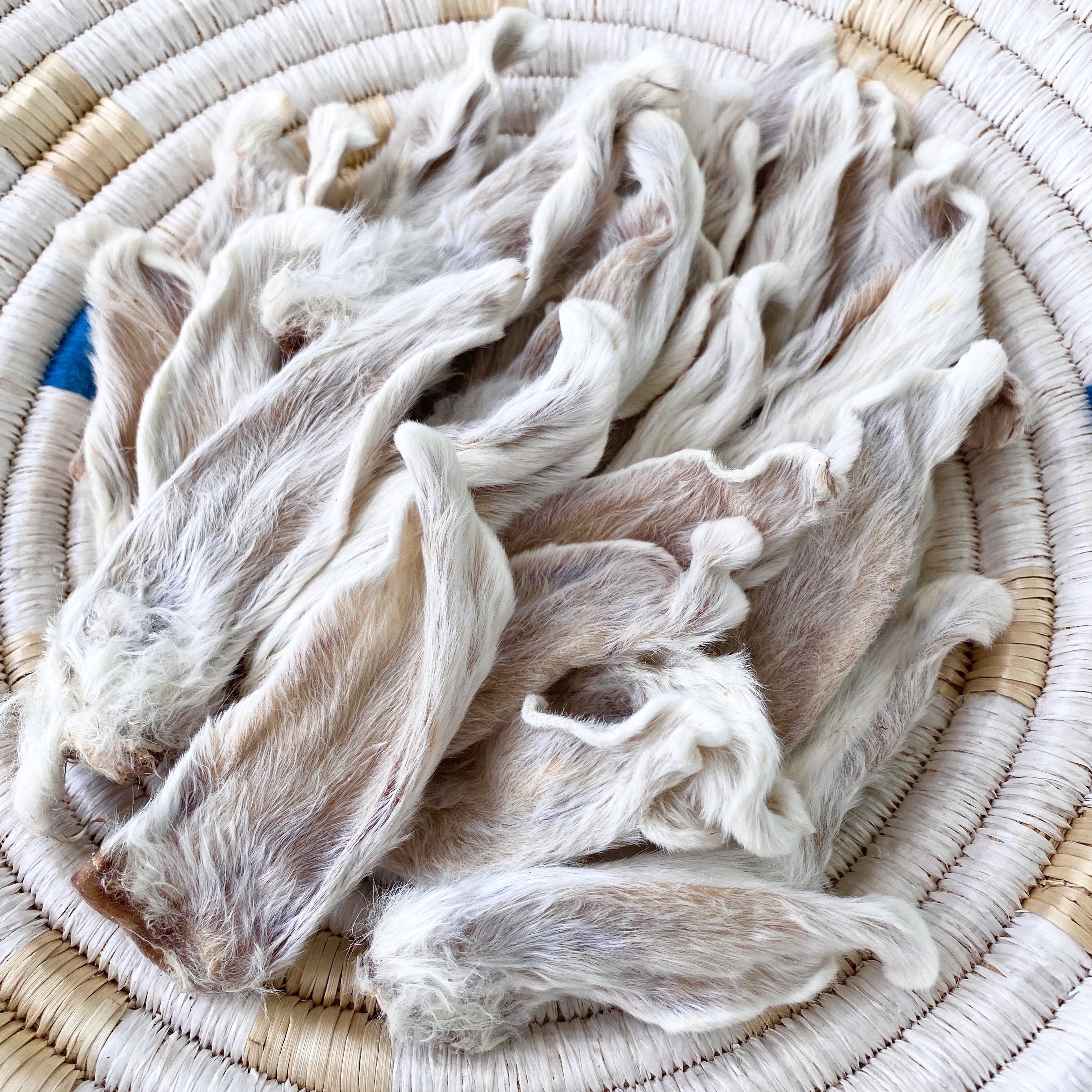 DEHYDRATED RABBIT EARS – Miso and Friends