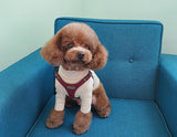 FANCY HARNESS AND LEASH SET / DARK RED - Miso and Friends - petshop