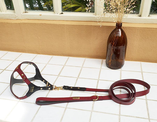 FANCY HARNESS AND LEASH SET / DARK RED - Miso and Friends - petshop