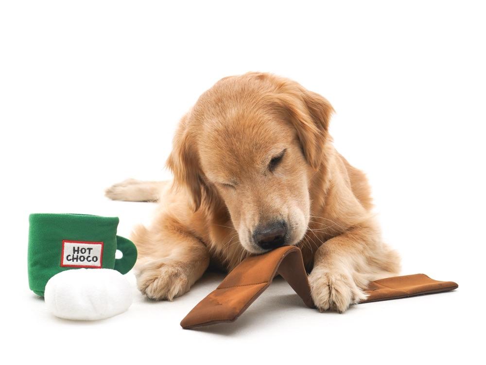 https://misoandfriends.com/cdn/shop/products/hot-chocolate-nosework-toy-181704_1024x.jpg?v=1618203723