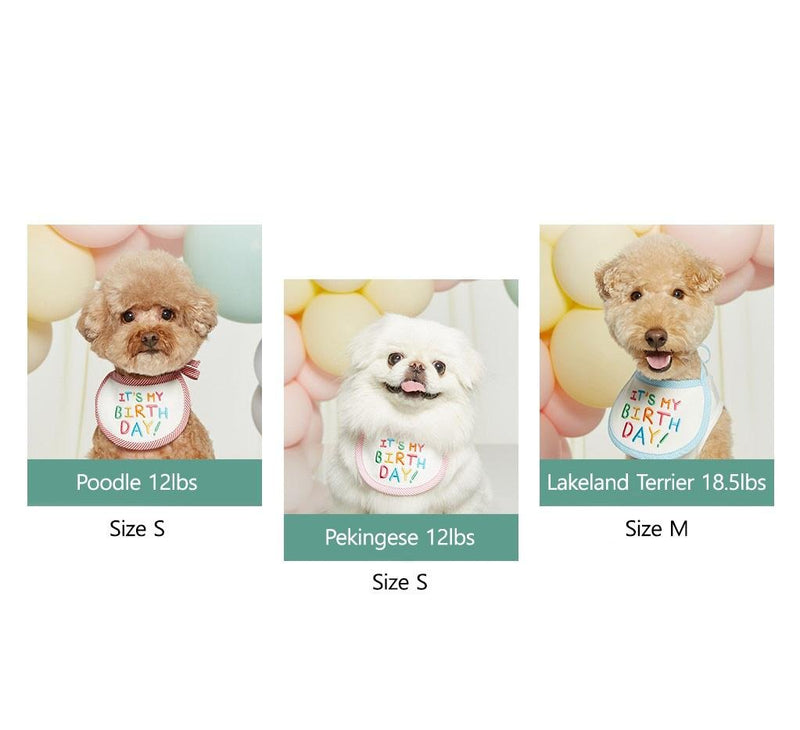 IT'S MY BIRTHDAY BIB / BLUE - Miso and Friends - petshop