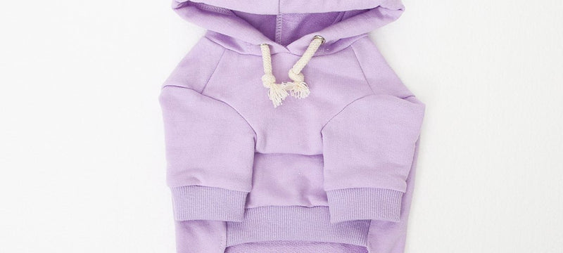 PHOTO READY HOODED T-SHIRT / LILAC - Miso and Friends - petshop