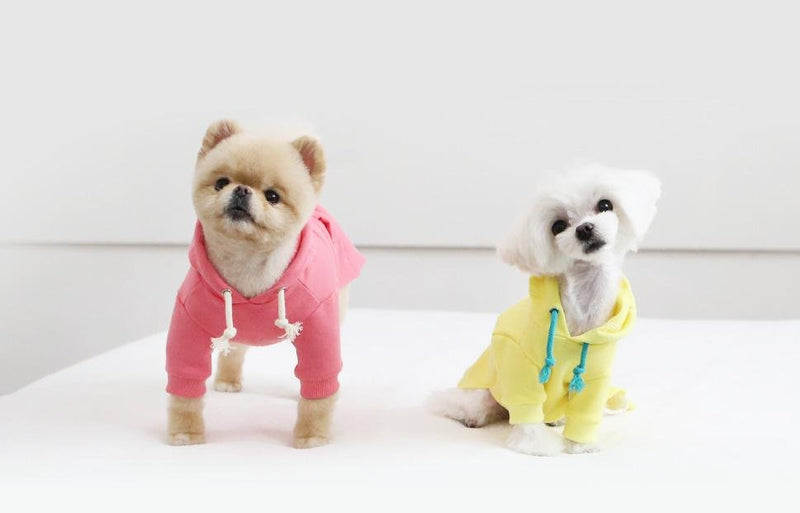 PHOTO READY HOODED T-SHIRT / PINK - Miso and Friends - petshop