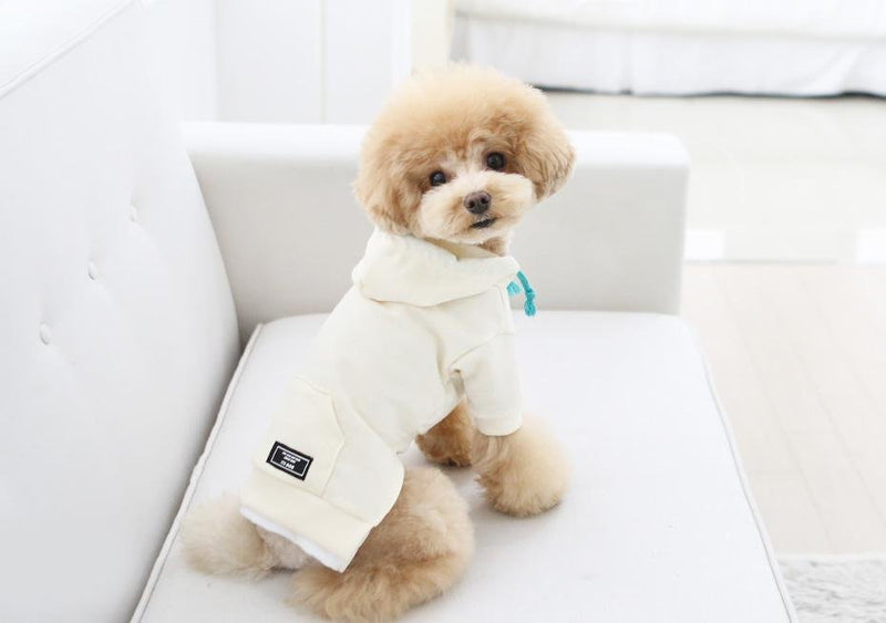 PHOTO READY HOODED T-SHIRT / YELLOW - Miso and Friends - petshop