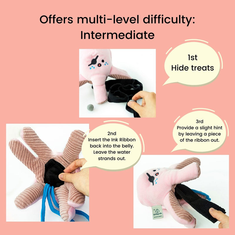 SCOUTS BOOK NOSEWORK TOY – Miso and Friends