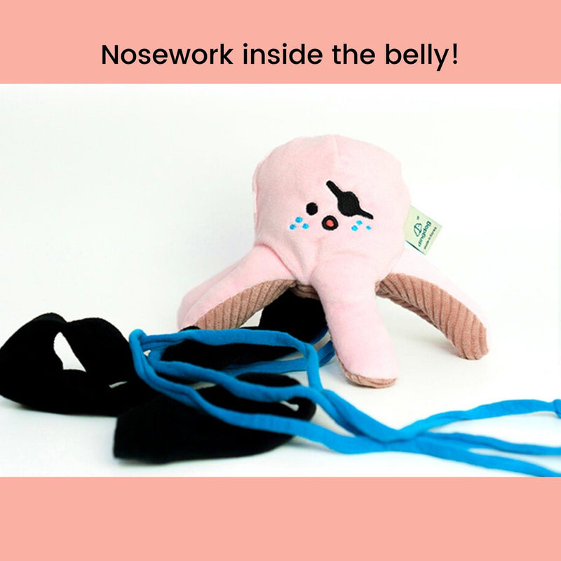 PIRATE OCTOPUS NOSEWORK TOY - Miso and Friends - petshop