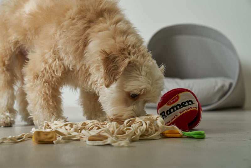 Nosework Dog Toy Ramen - A dog toy that has all – Spencer & Me