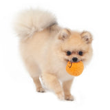 SEA URCHIN CATCH TOY - Miso and Friends - petshop