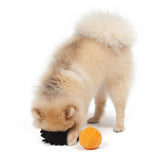 SEA URCHIN CATCH TOY - Miso and Friends - petshop