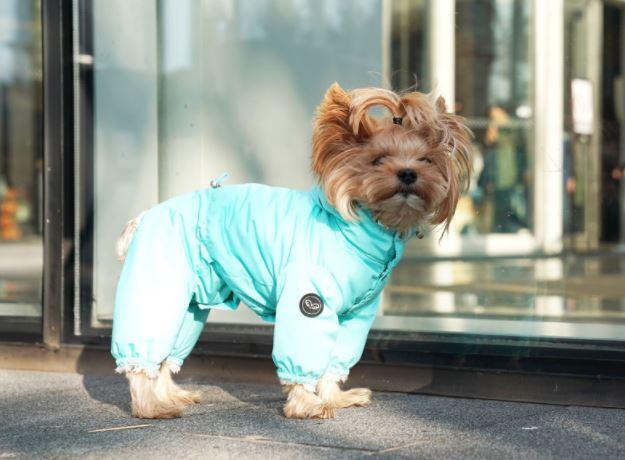 SNOW HOOD PADDED OVERALLS (GIRLS) / BLUE - Miso and Friends - petshop