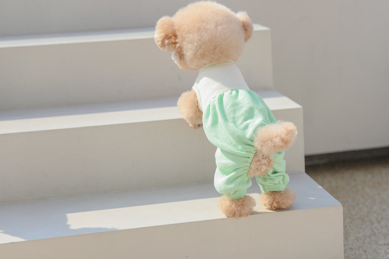 THE PLAYFUL ROMPER / MELON GREEN - Miso and Friends - petshop