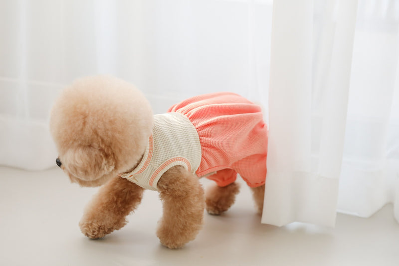 THE PLAYFUL ROMPER / PEACH CORAL - Miso and Friends - petshop