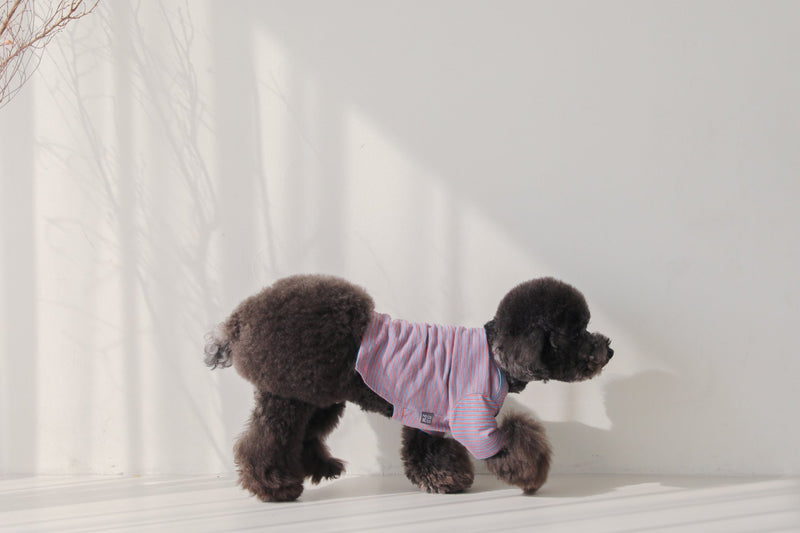 THE SOPHISTICATED STRIPED TEE / BLUE ORANGE - Miso and Friends - petshop